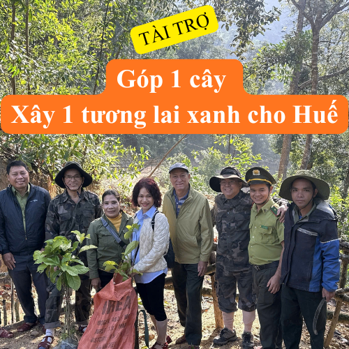 🌳 Đóng góp 1 cây xanh – Gây cả rừng cho Huế 🌳